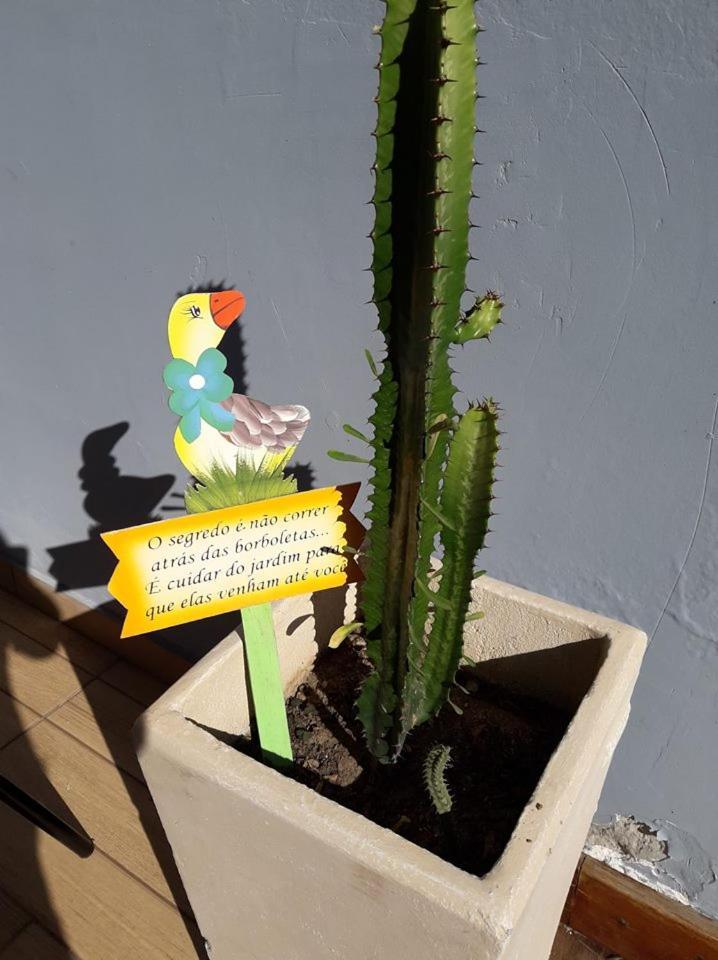 Aconchego De Um Lar Hospedagem Domiciliar Cabo Frio Dış mekan fotoğraf